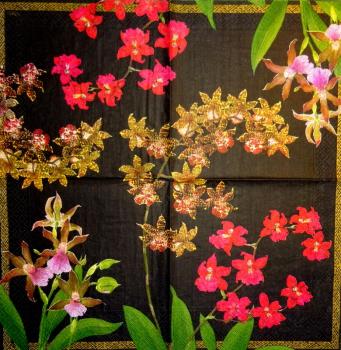 086 Orchideen - 3-lagig - (schwarz) - Caspari